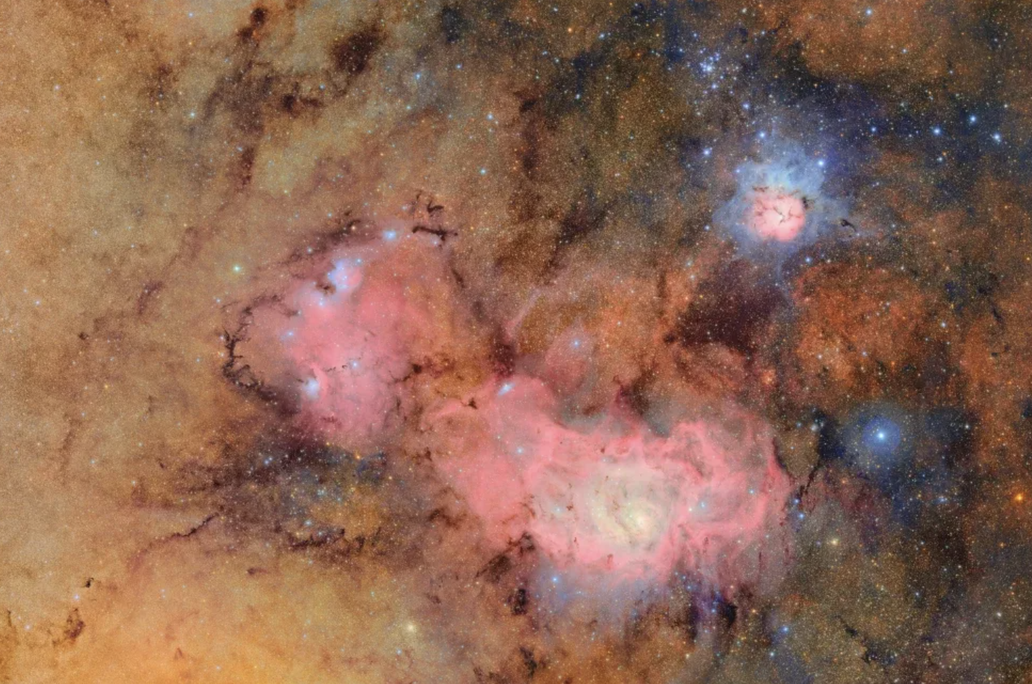 The largest digital camera ever built has released its first shots of the universe