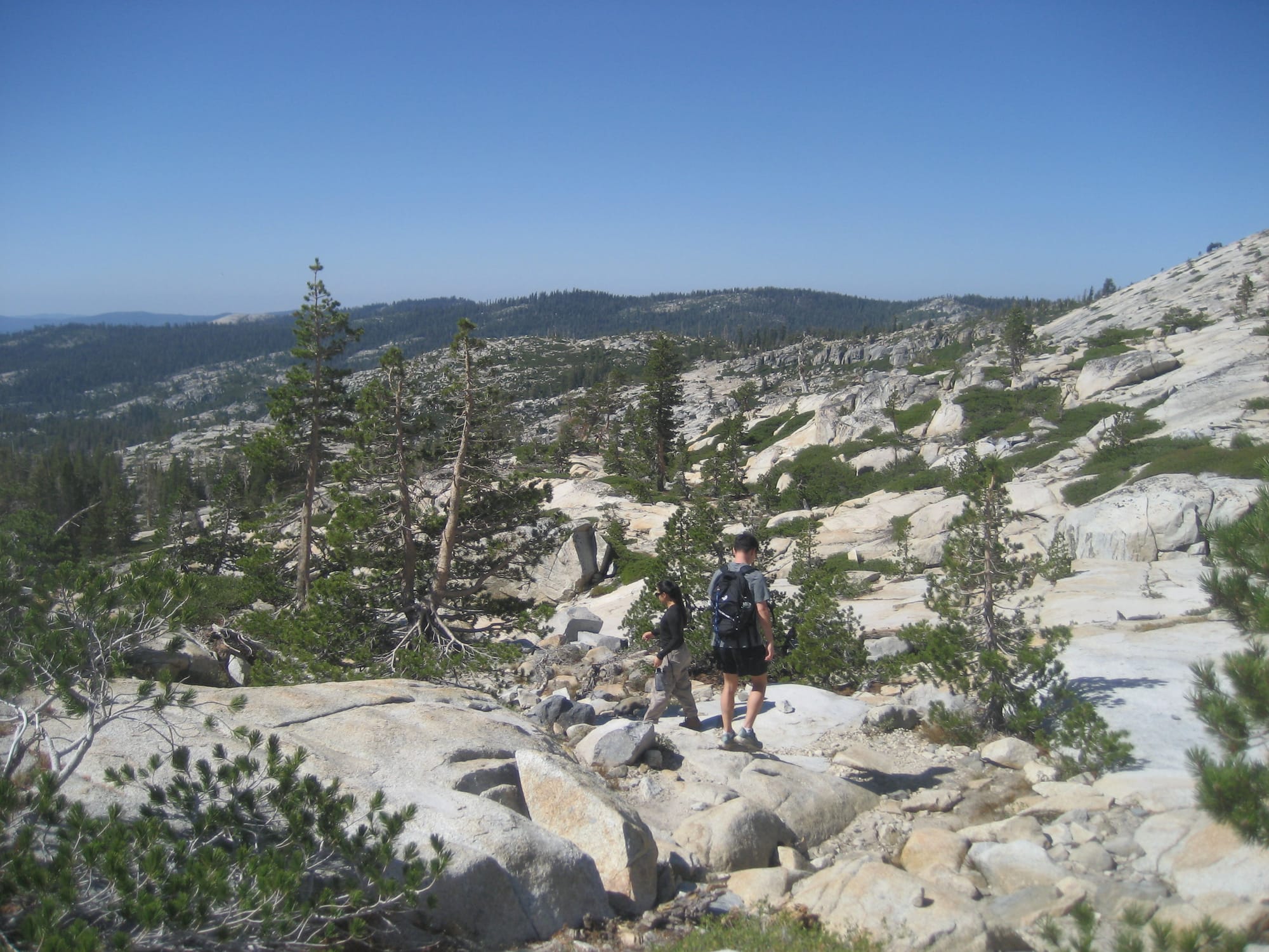 Testing Notifications from Posts on Staging After following and having the notifcation switch on