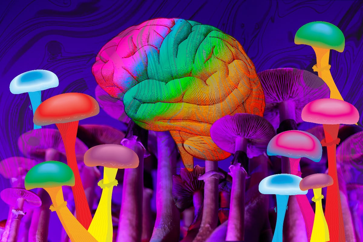 2025.11.5 Article - Psychedelic-Assisted Therapy: A New Frontier in Mental-Health Care