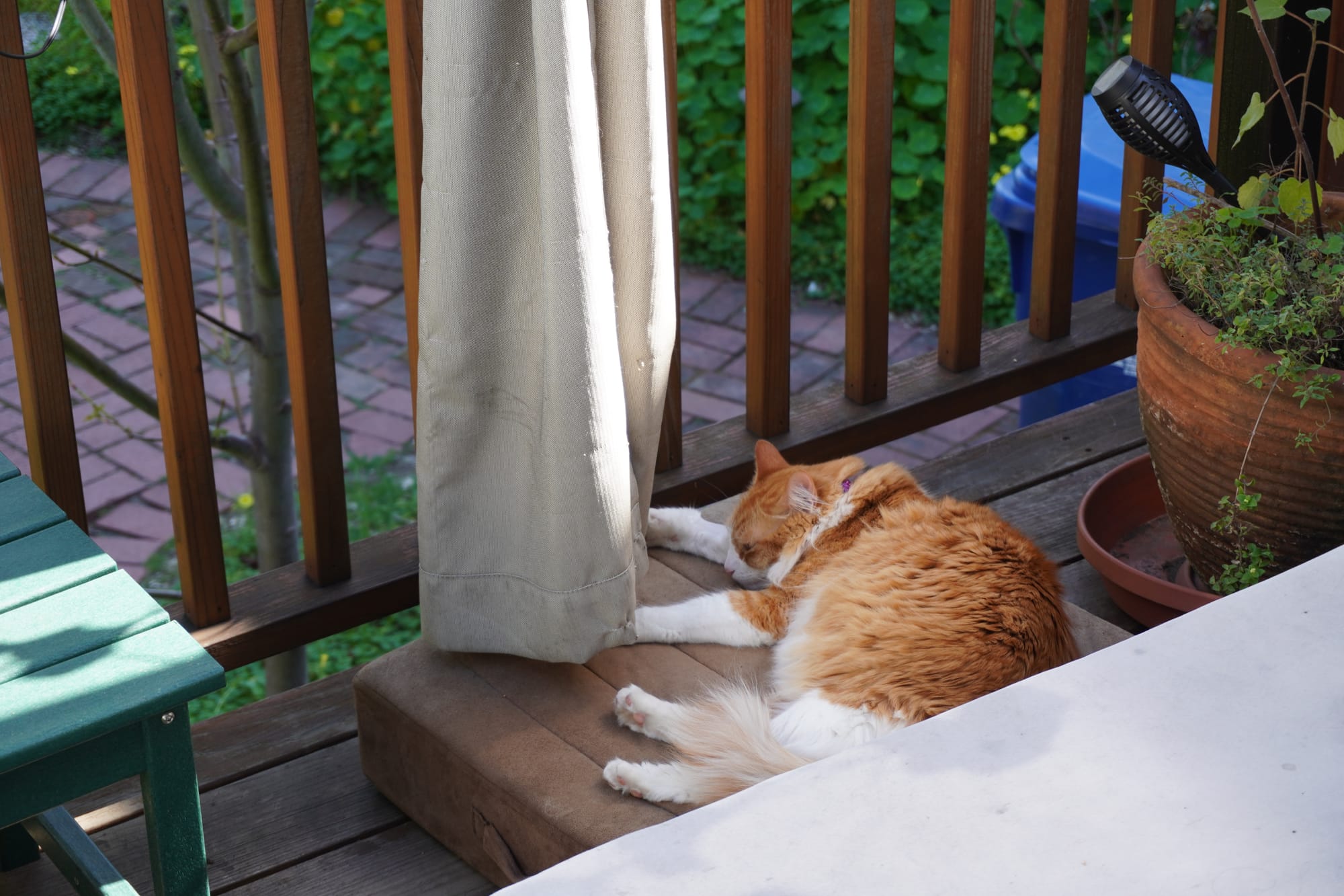 20260318 Another Test Article for Notifications