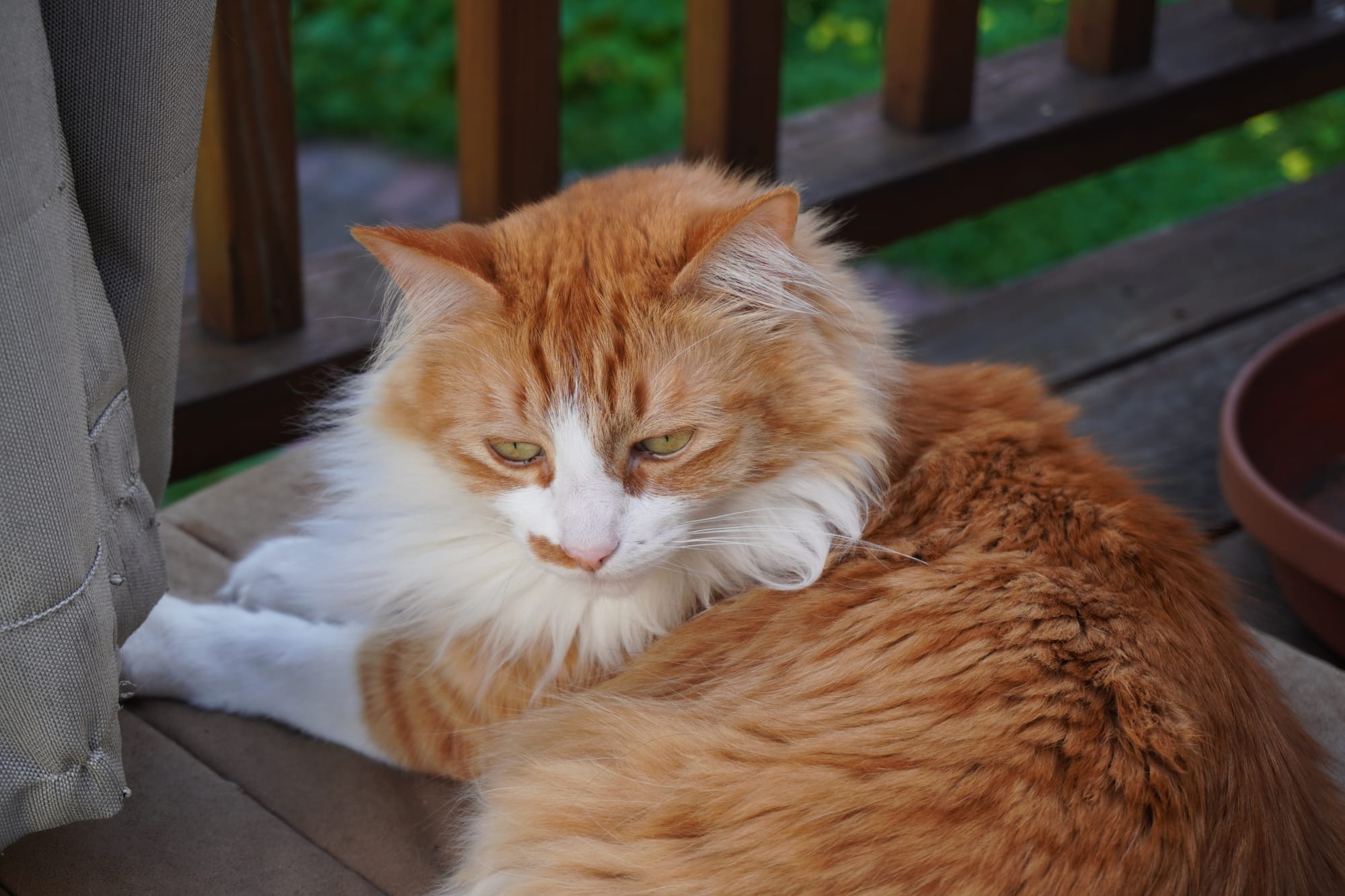 20260318 And Another One for Notification Testing!